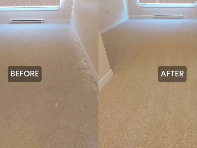 Carpet Services