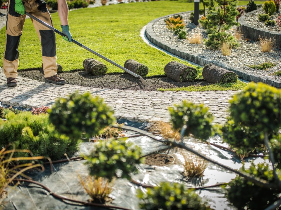 Landscaping Services
